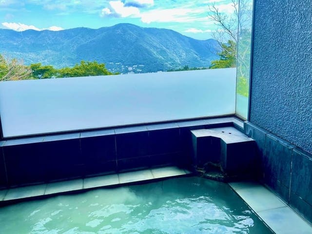 貸切湯。乳白の湯の先、白い縁の向こうに箱根の山並みが広がる