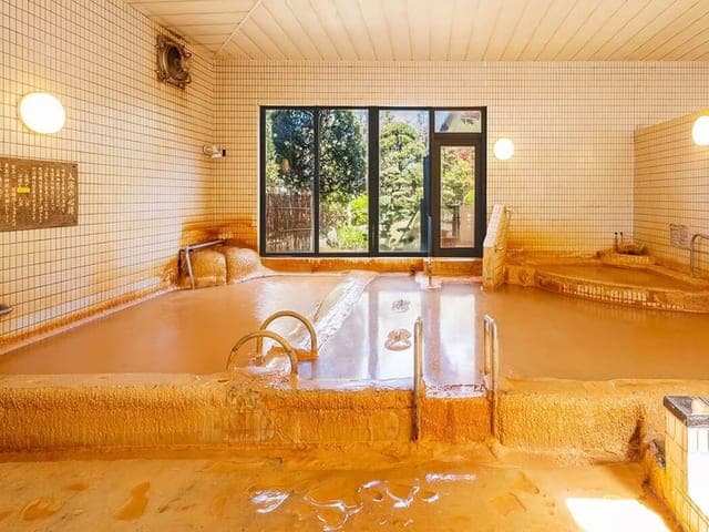 源泉風呂。析出した成分で茶褐色に染まった湯船に、濃厚な湯が満ちている
