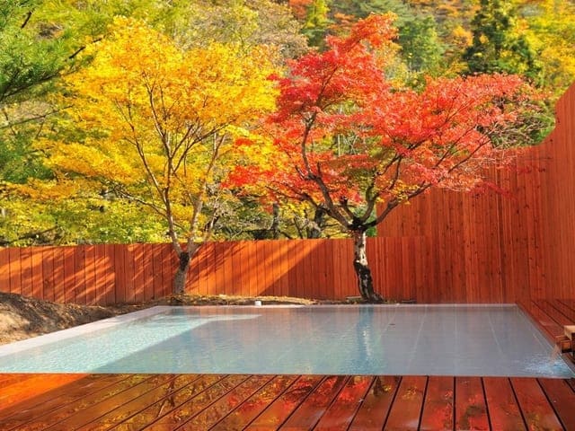 露天風呂「こもれび乃湯」。紅葉した木々が湯船の上に枝を広げている