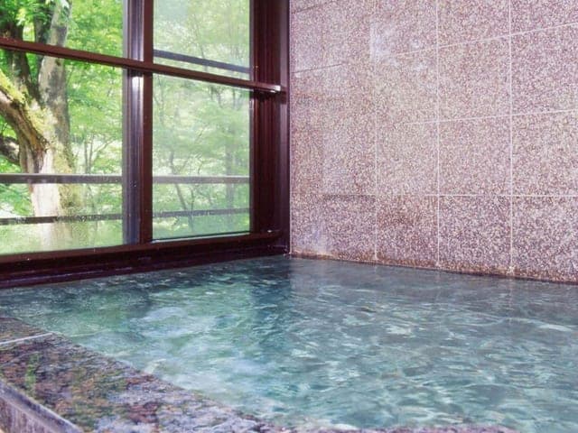貸切風呂「美晴の湯」。窓に面した湯船から外の緑が見える