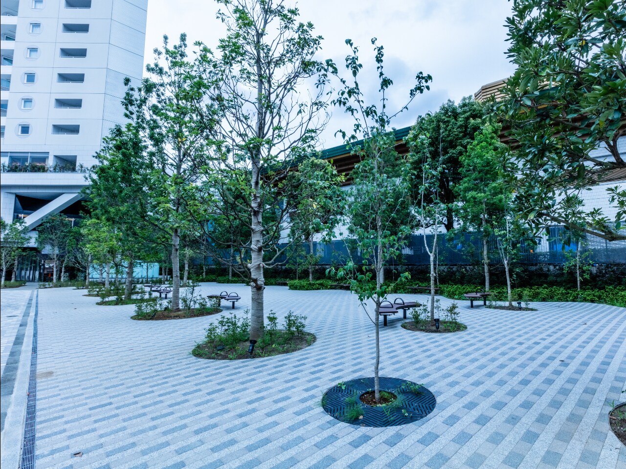 Photo Gallery | APA Hotel ＆ Resort Ryogoku Eki Tower | [Official] APA