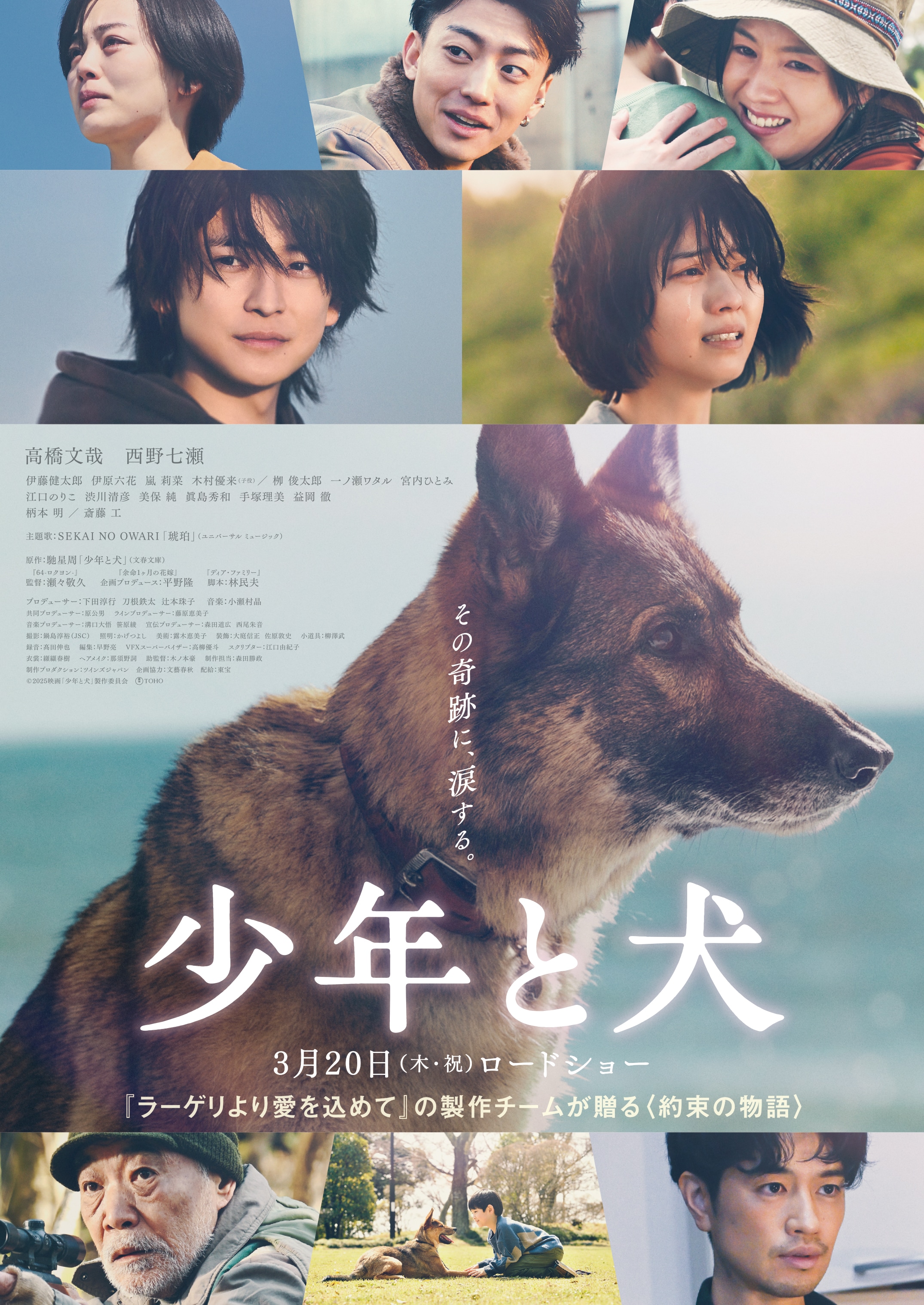 映画『少年と犬』2025年3月20日（木・祝）公開記念プレゼント 
