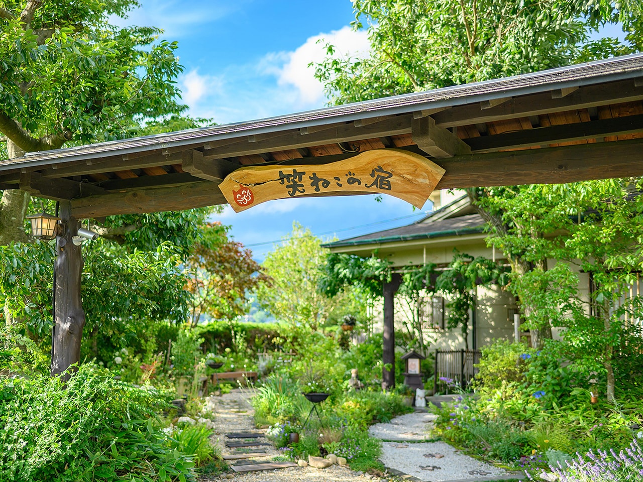 ゆふいん　笑ねこの宿画像