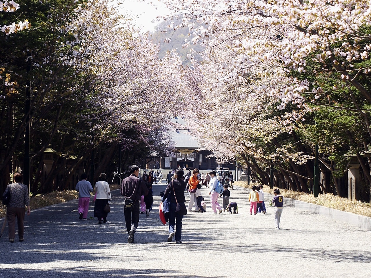 北海道神宮（ホテルから車で20分）画像