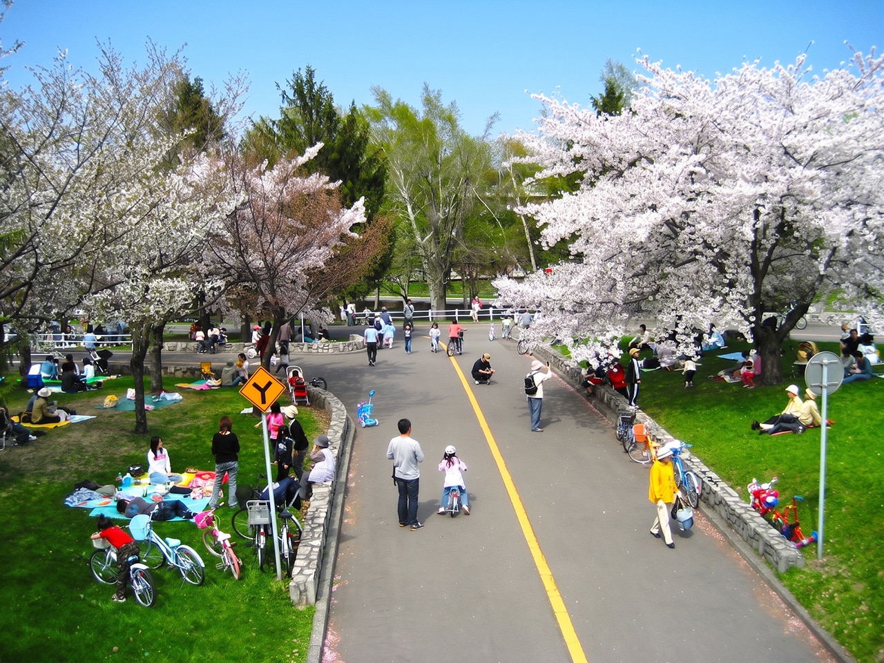 農試公園（ホテルから車で約35分）画像