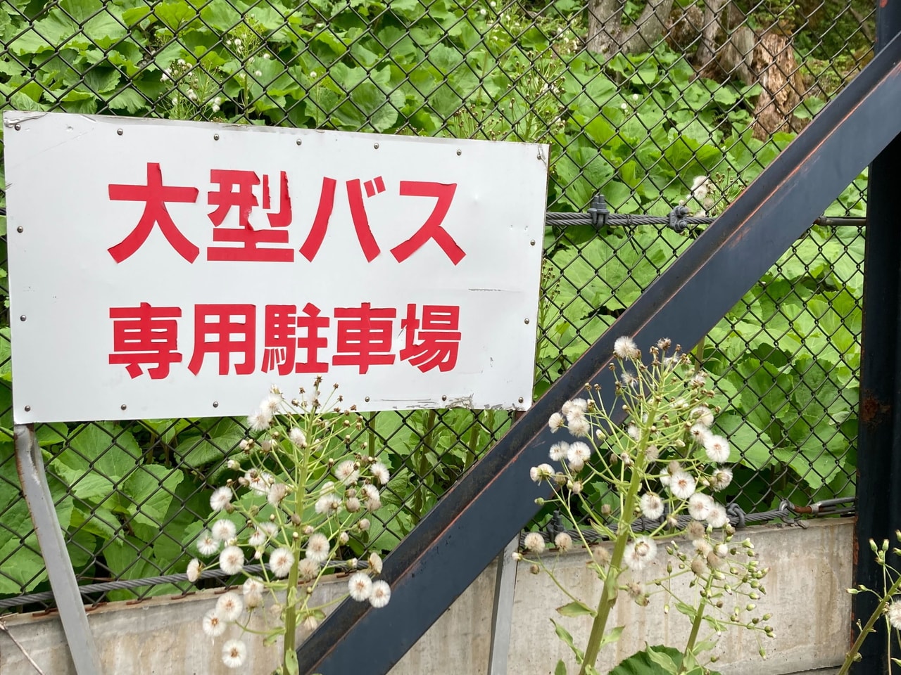 大型バス駐車場