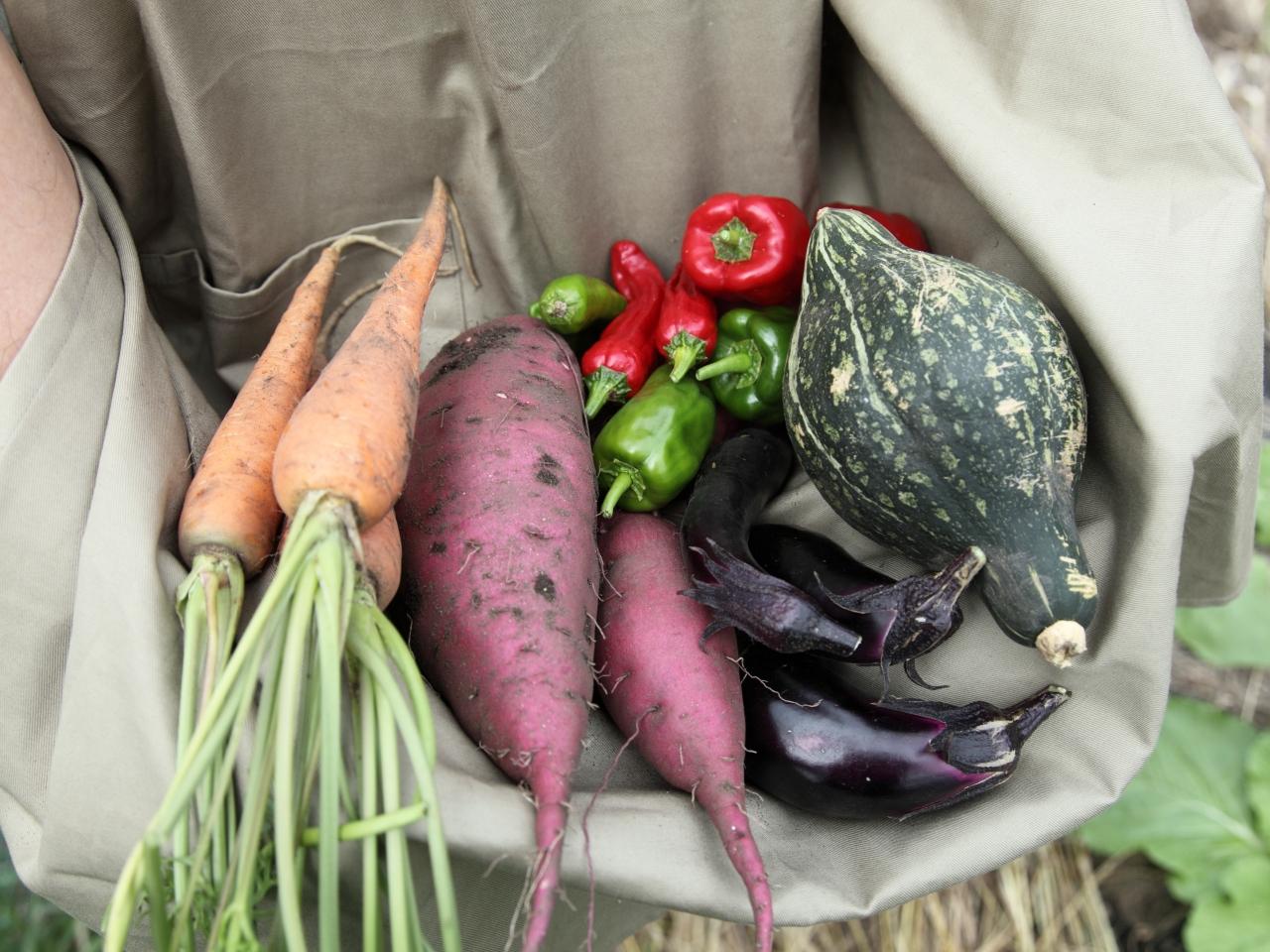 自家栽培野菜