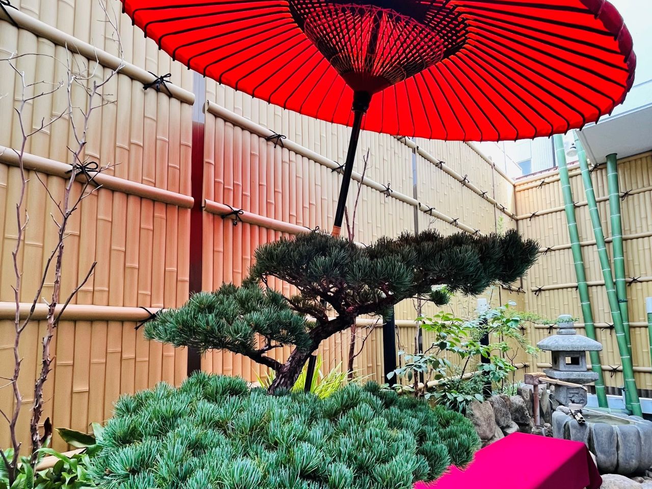 癒しと寛ぎの和庭園！