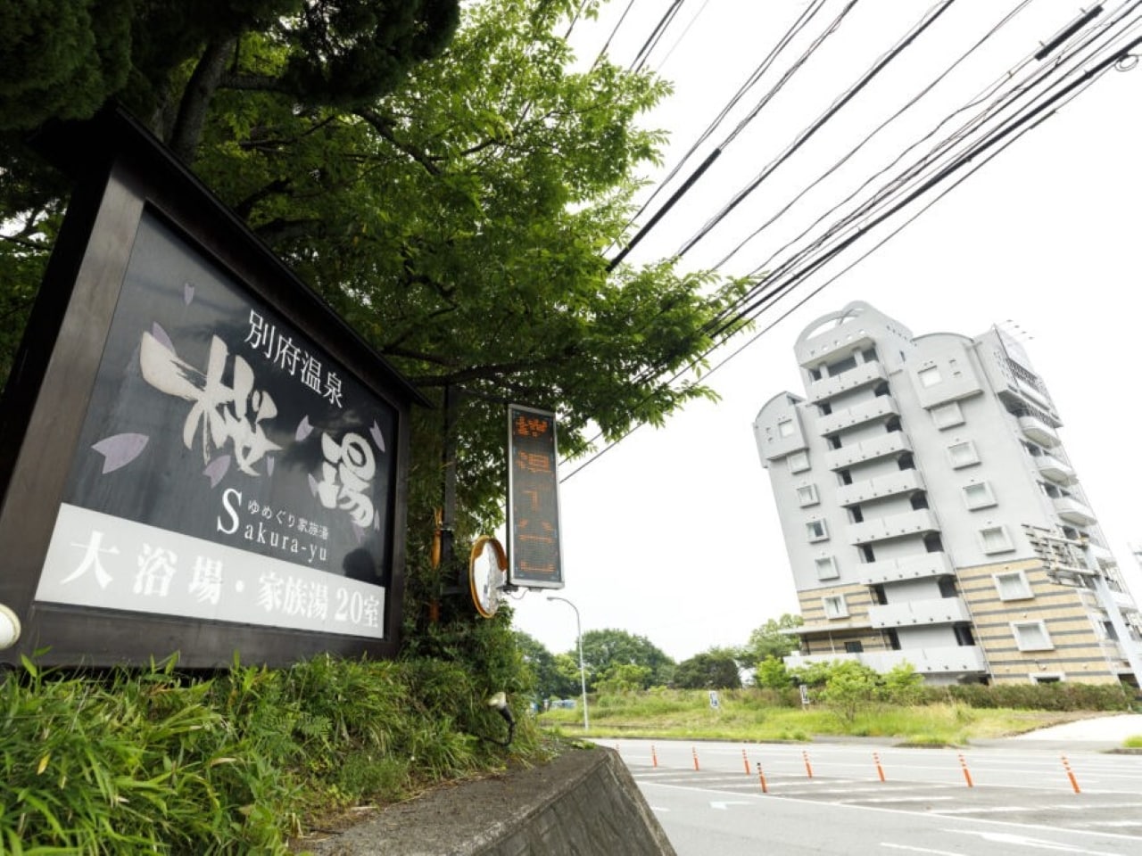 『桜湯』の無料チケットをお渡し！！