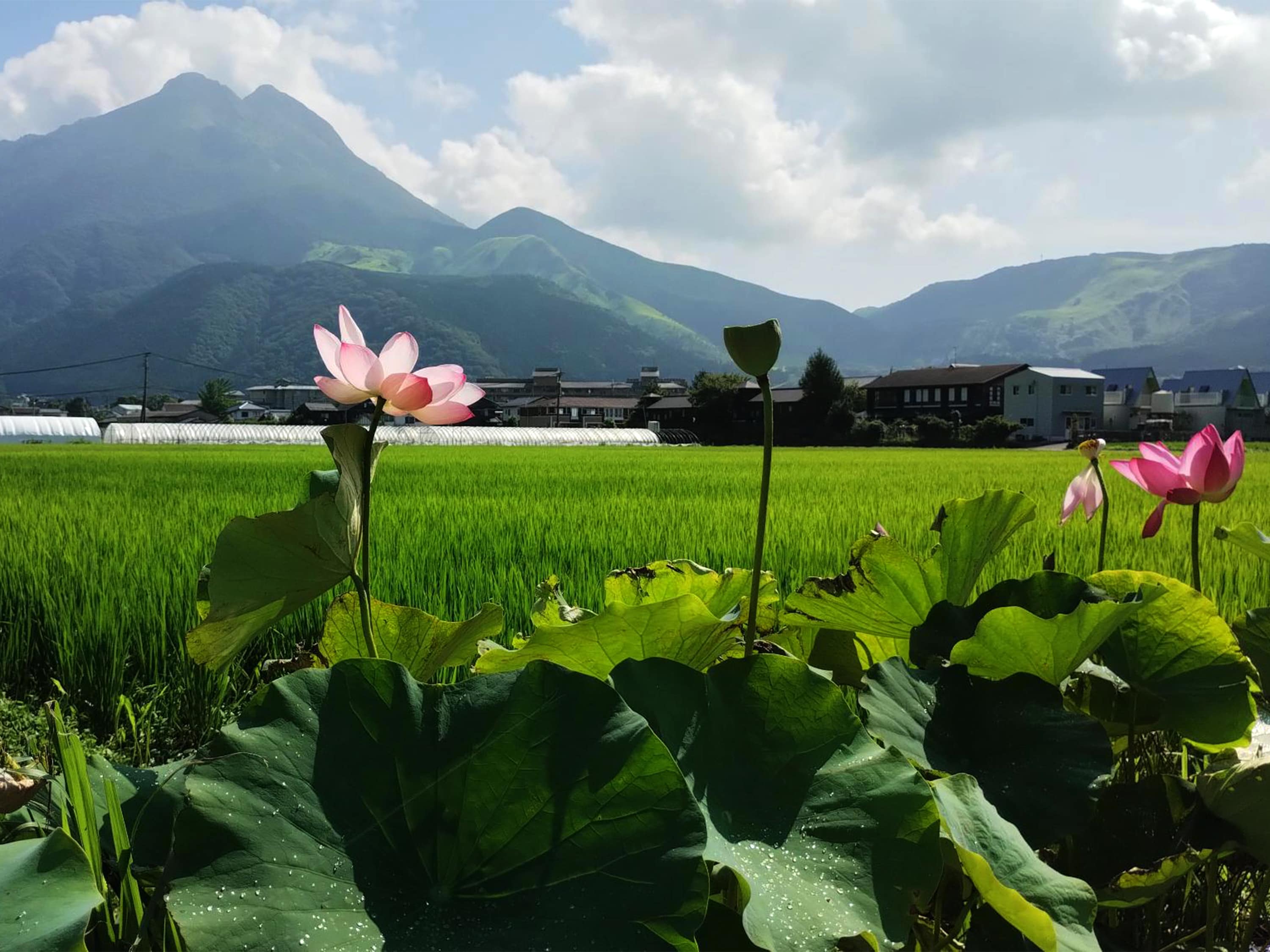 宿周辺の風景