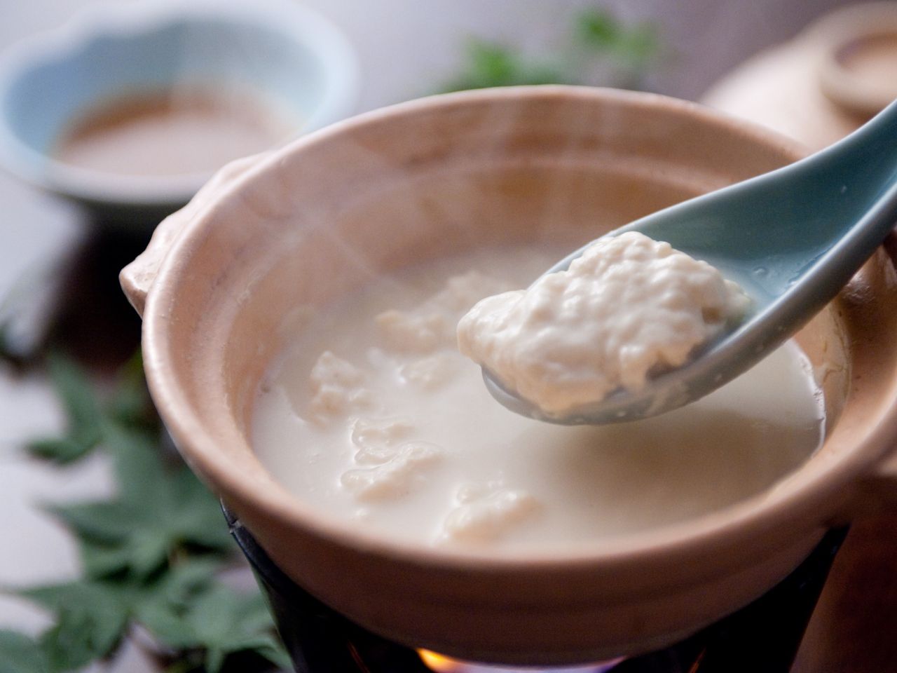 嬉野名物 温泉湯豆腐