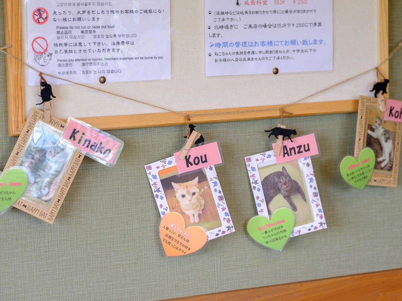 ねこカフェ