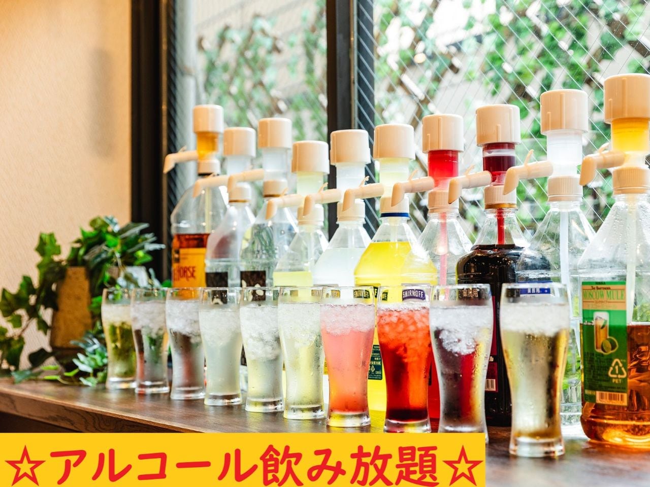 アルコール飲み放題