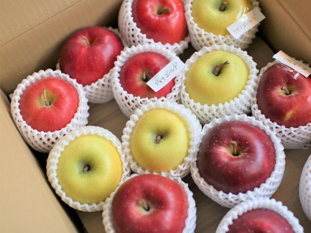 地元契約農家から直送の新鮮食材