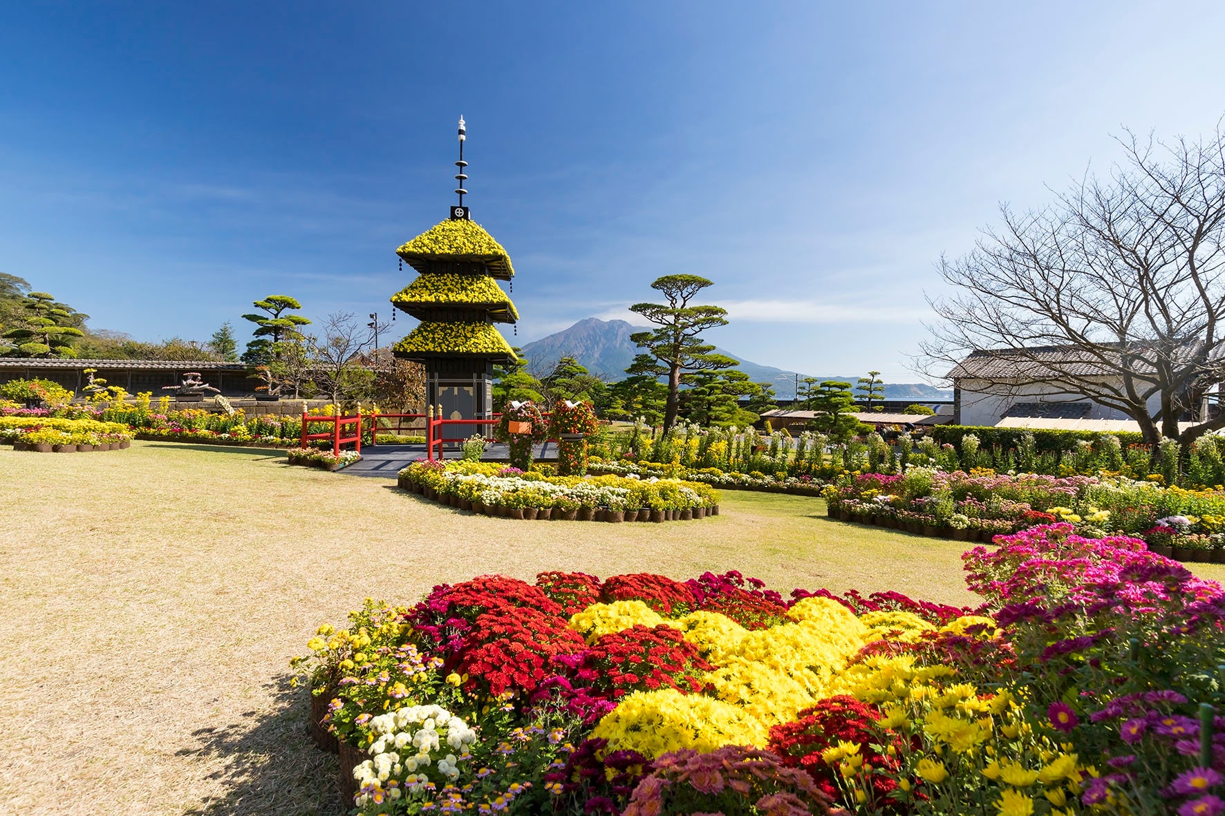 大名庭園・世界文化遺産　名勝 仙巌園
