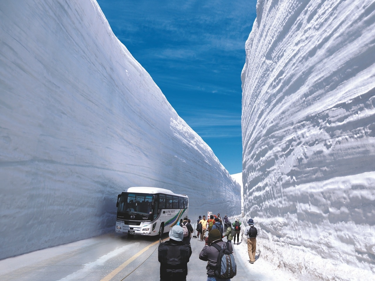 【周辺観光情報】立山黒部アルペンルートまもなく開通