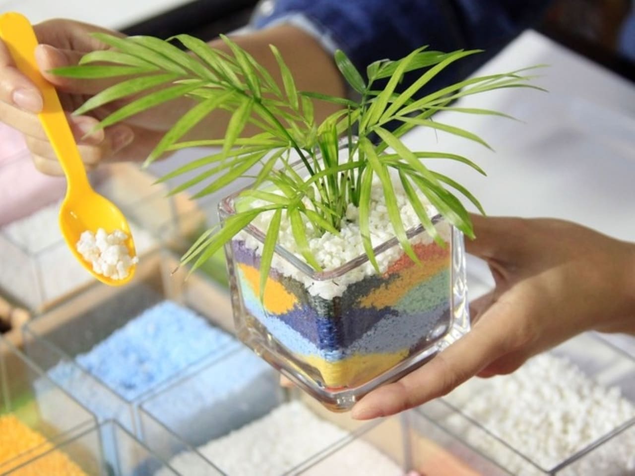 森のホール　工作体験【通年】