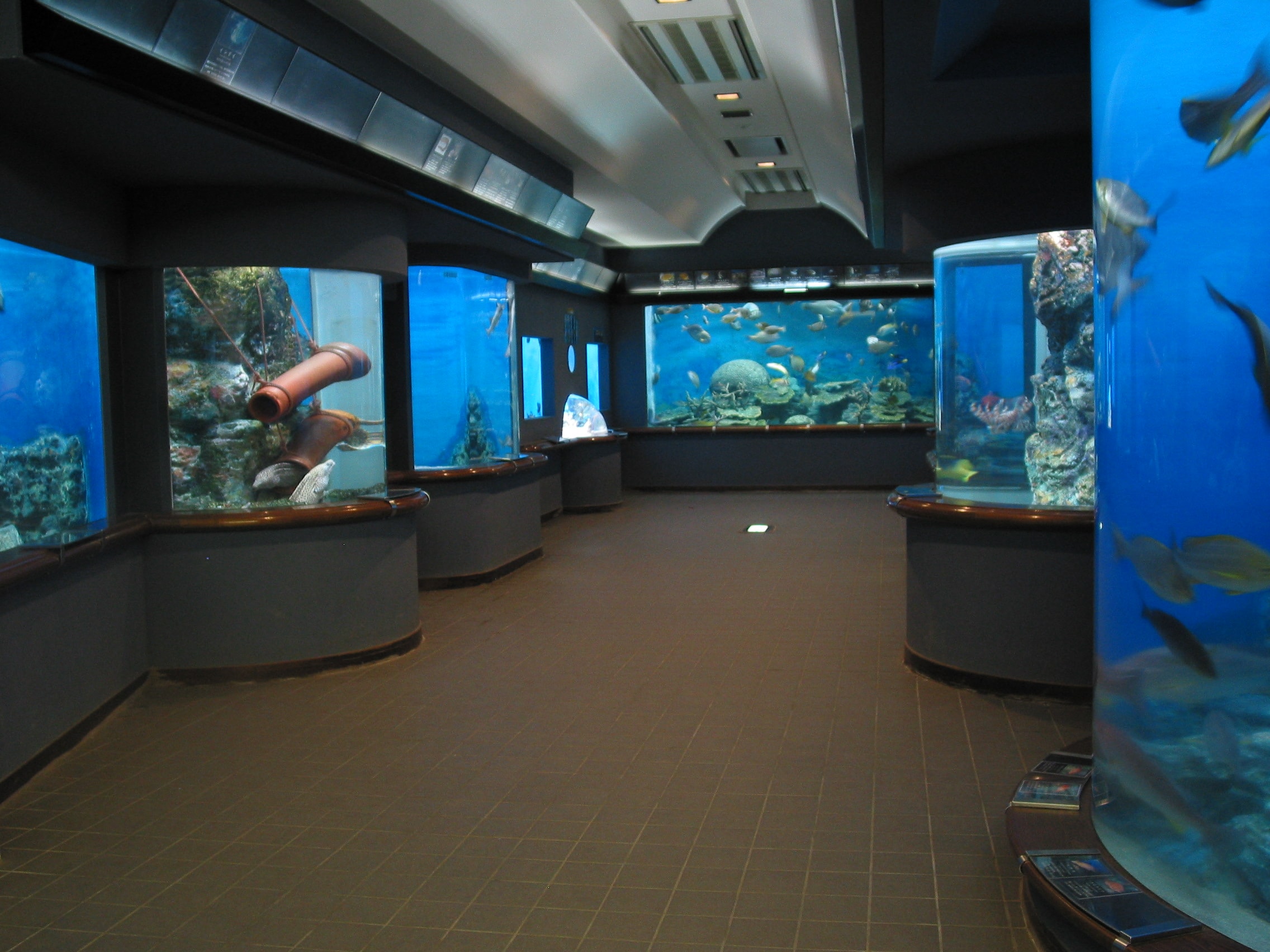 渋川マリン水族館