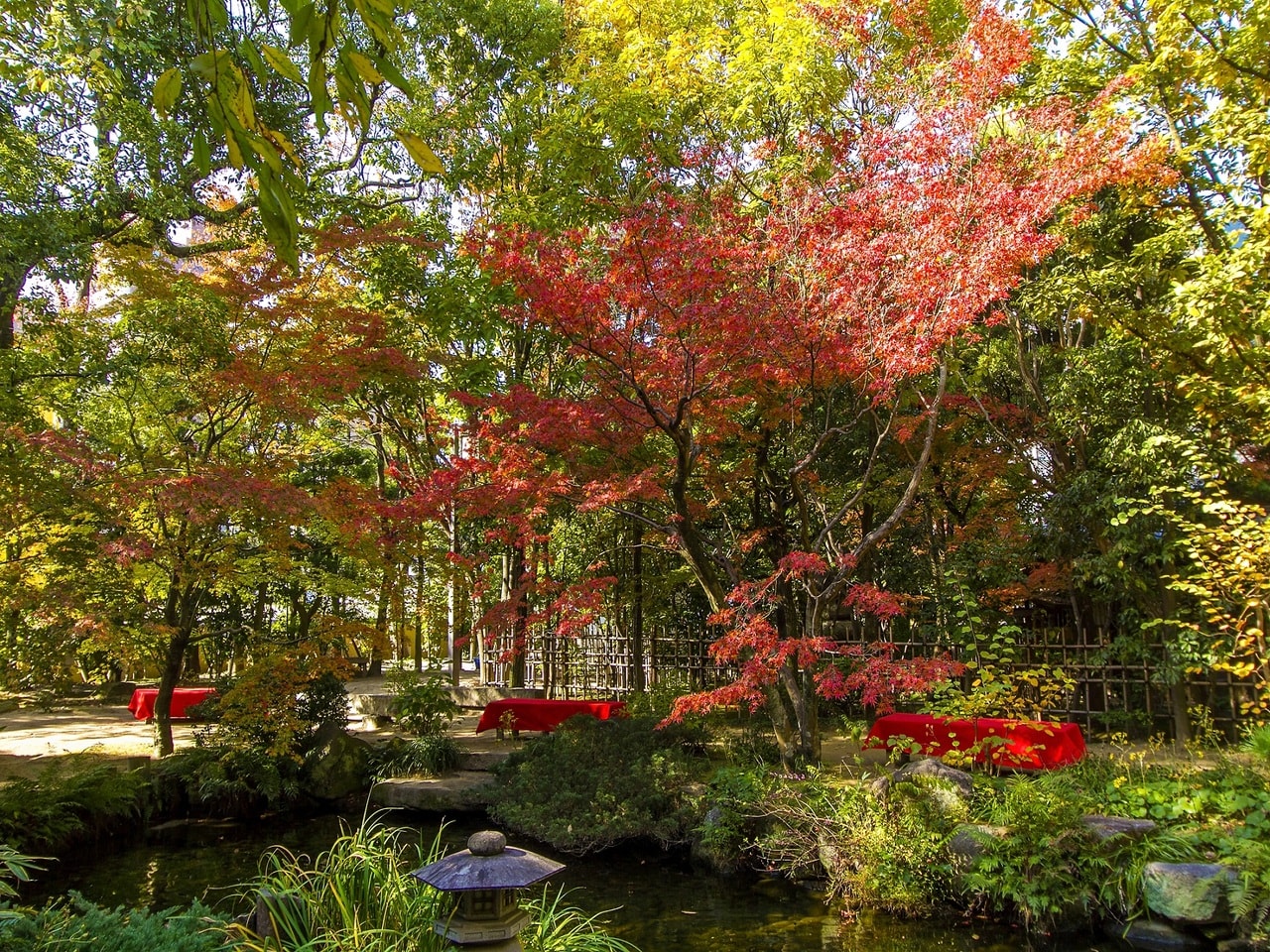【秋：紅葉が彩る楽水園の庭】