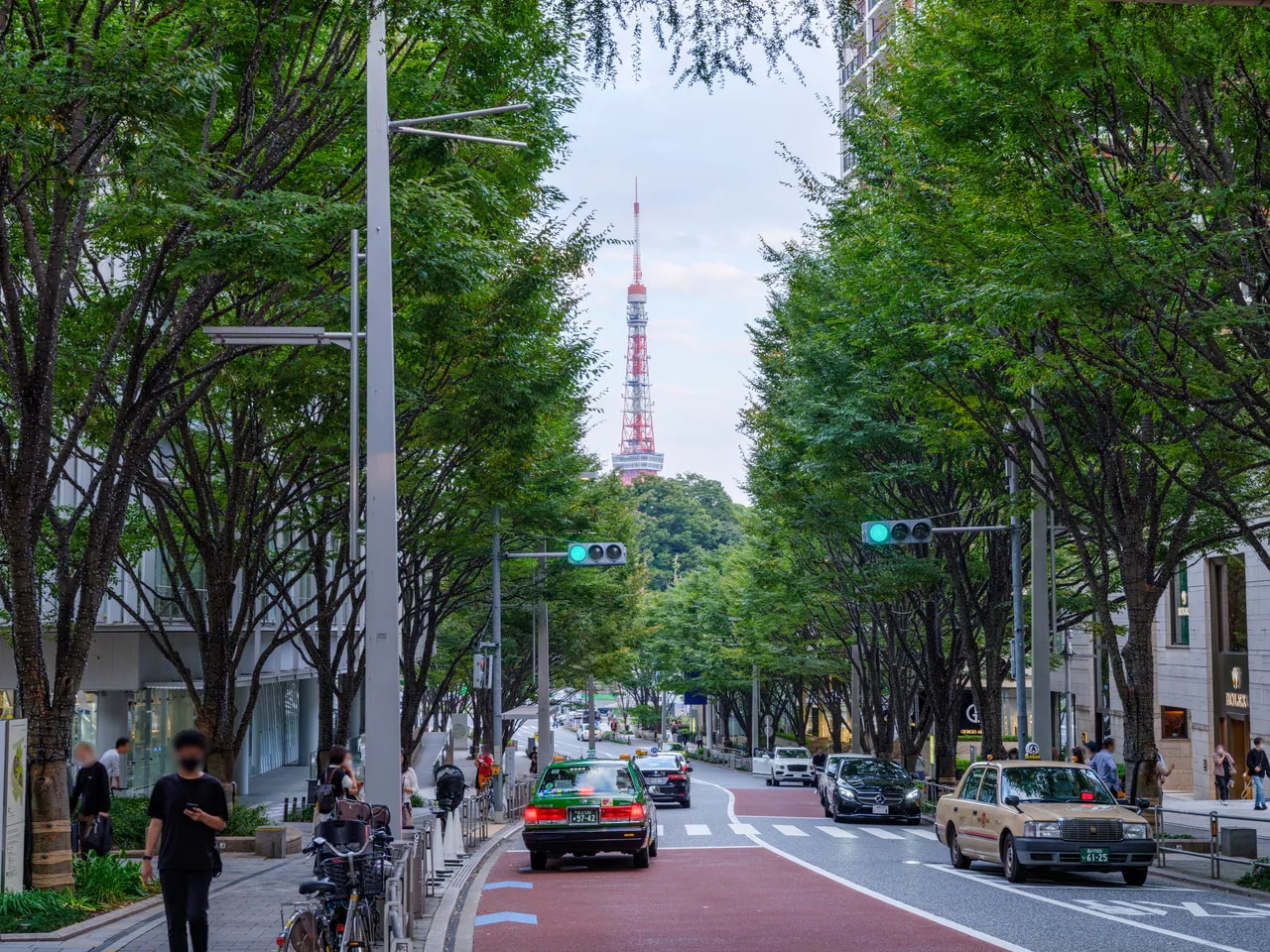 【けやき坂通り】桜やイルミネーションなど季節に応じて様々な景色が楽しめます。画像