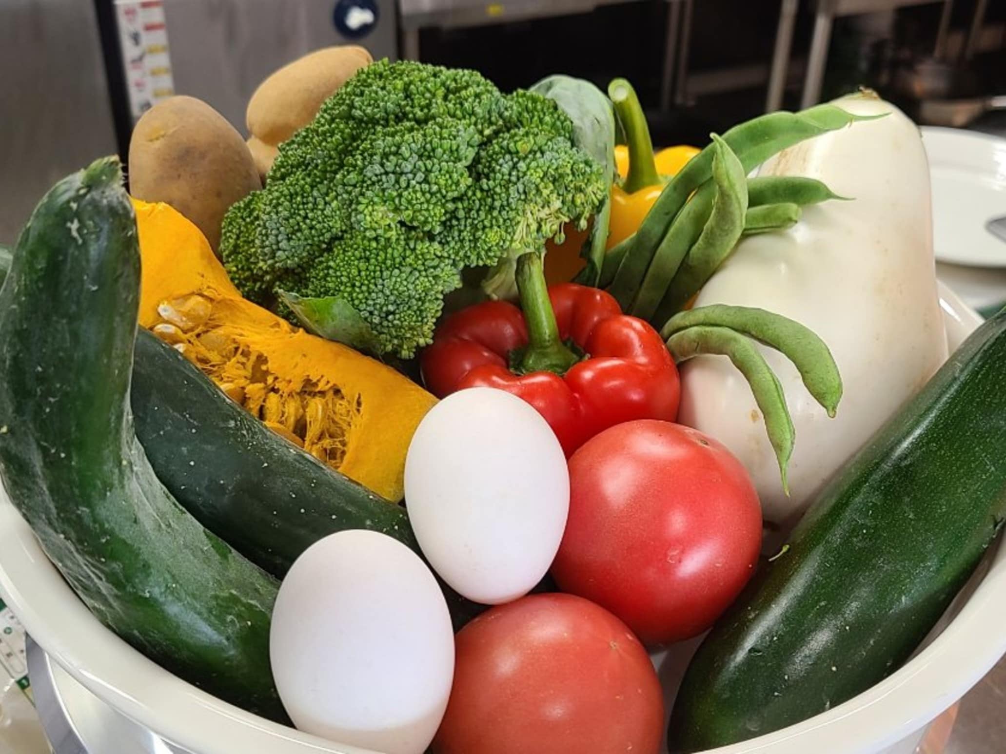自家製農園で収穫された新鮮野菜