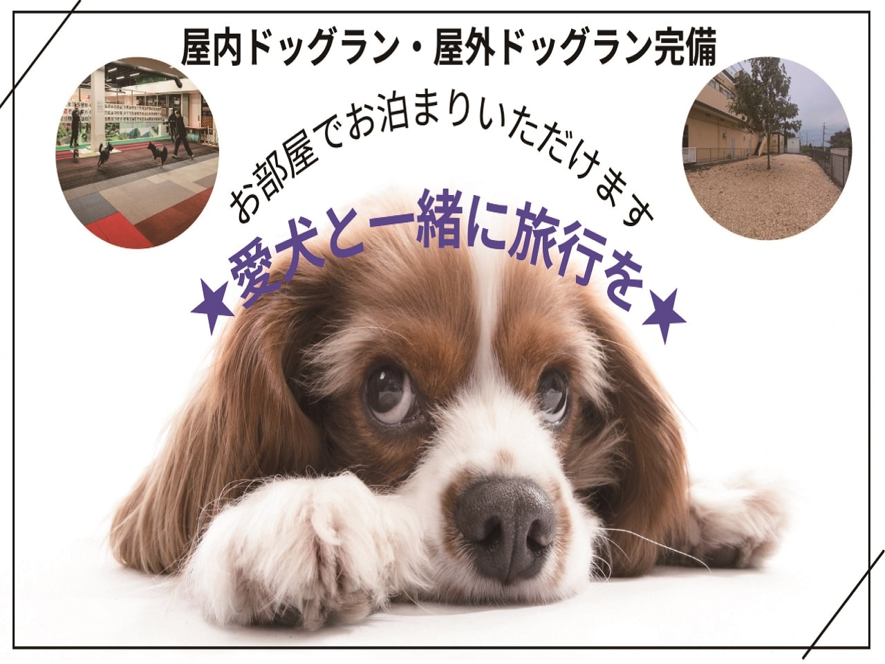 ワンちゃんの受け入れもOK、専用の屋内・屋外ドッグランも完備