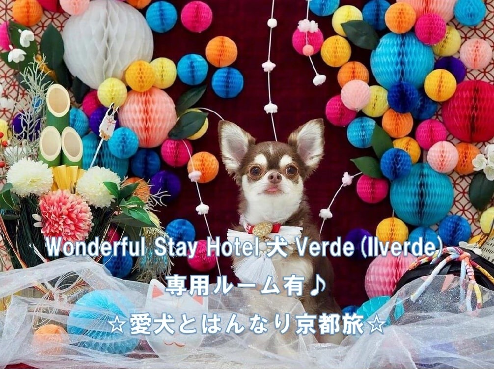 愛犬と京都へＧｏ！わんダフルDog Stay プラン（専用フロアー）