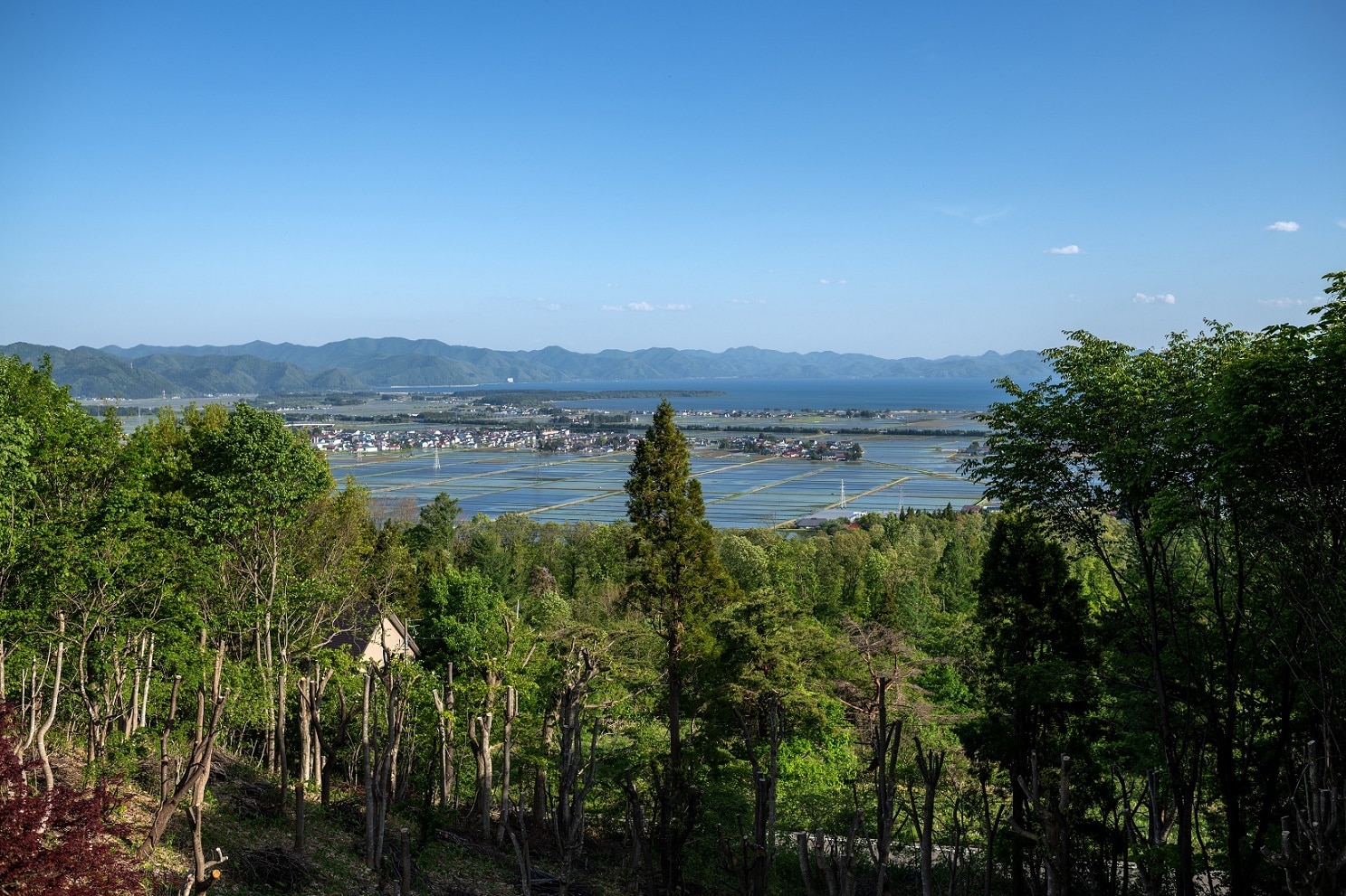 ラウンジからの風景