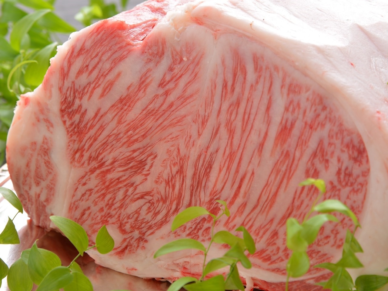 伊賀牛