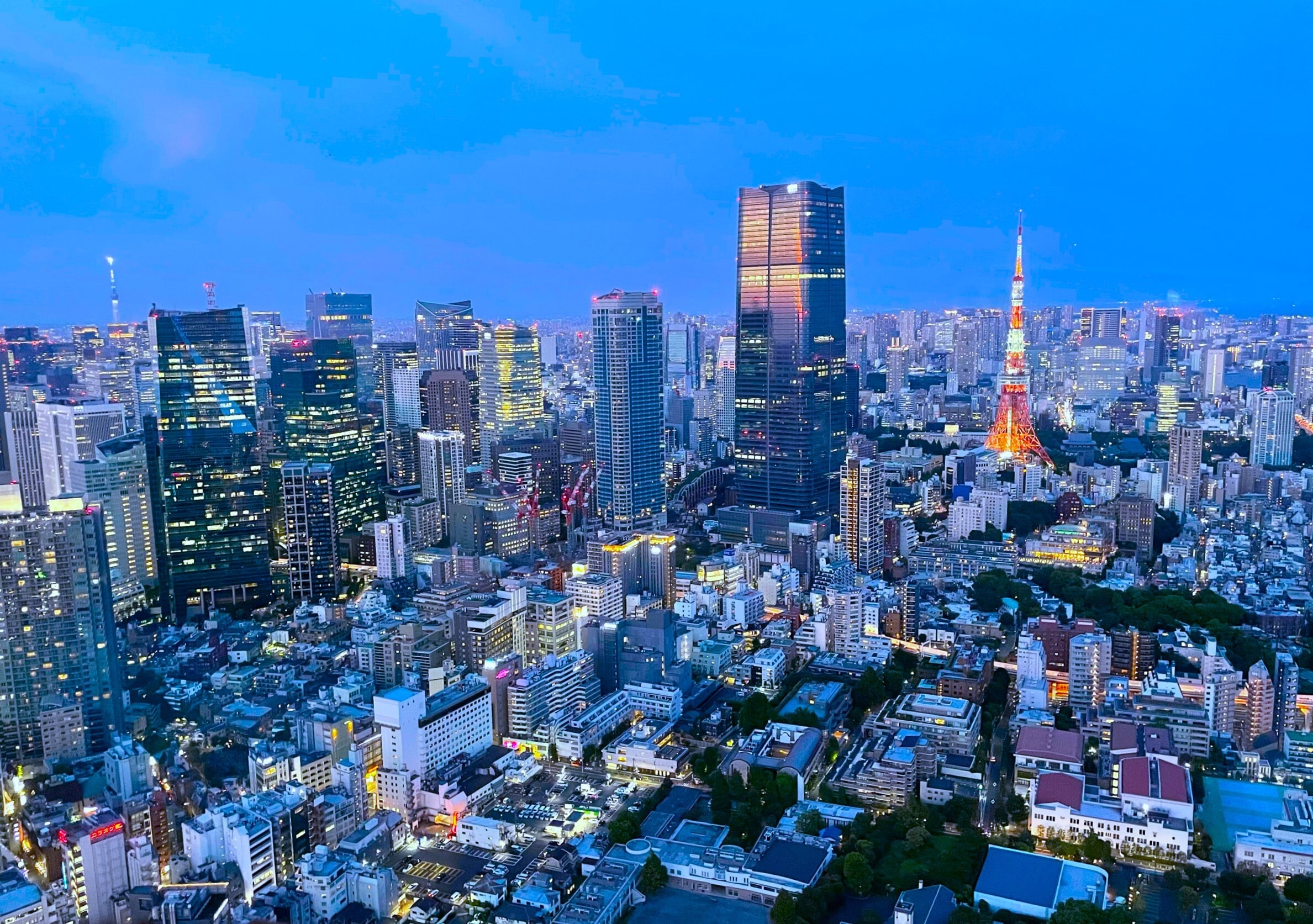 【東京タワー】ホテルから徒歩圏内。ライトアップがとても綺麗です。画像