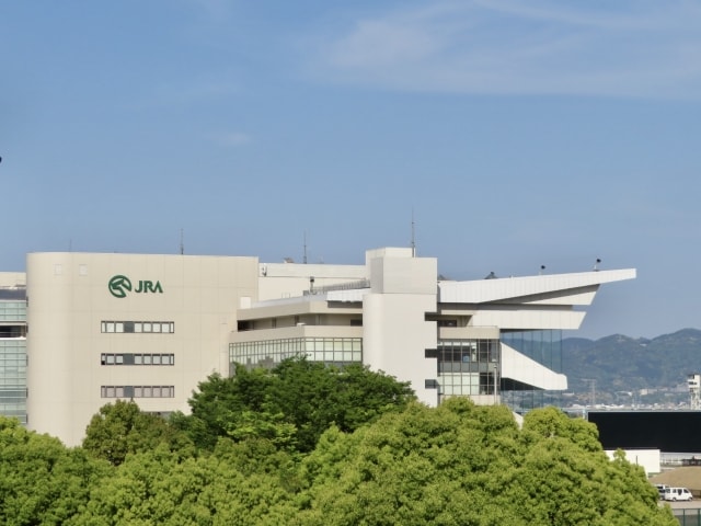 京都競馬場