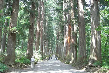 戸隠高原画像