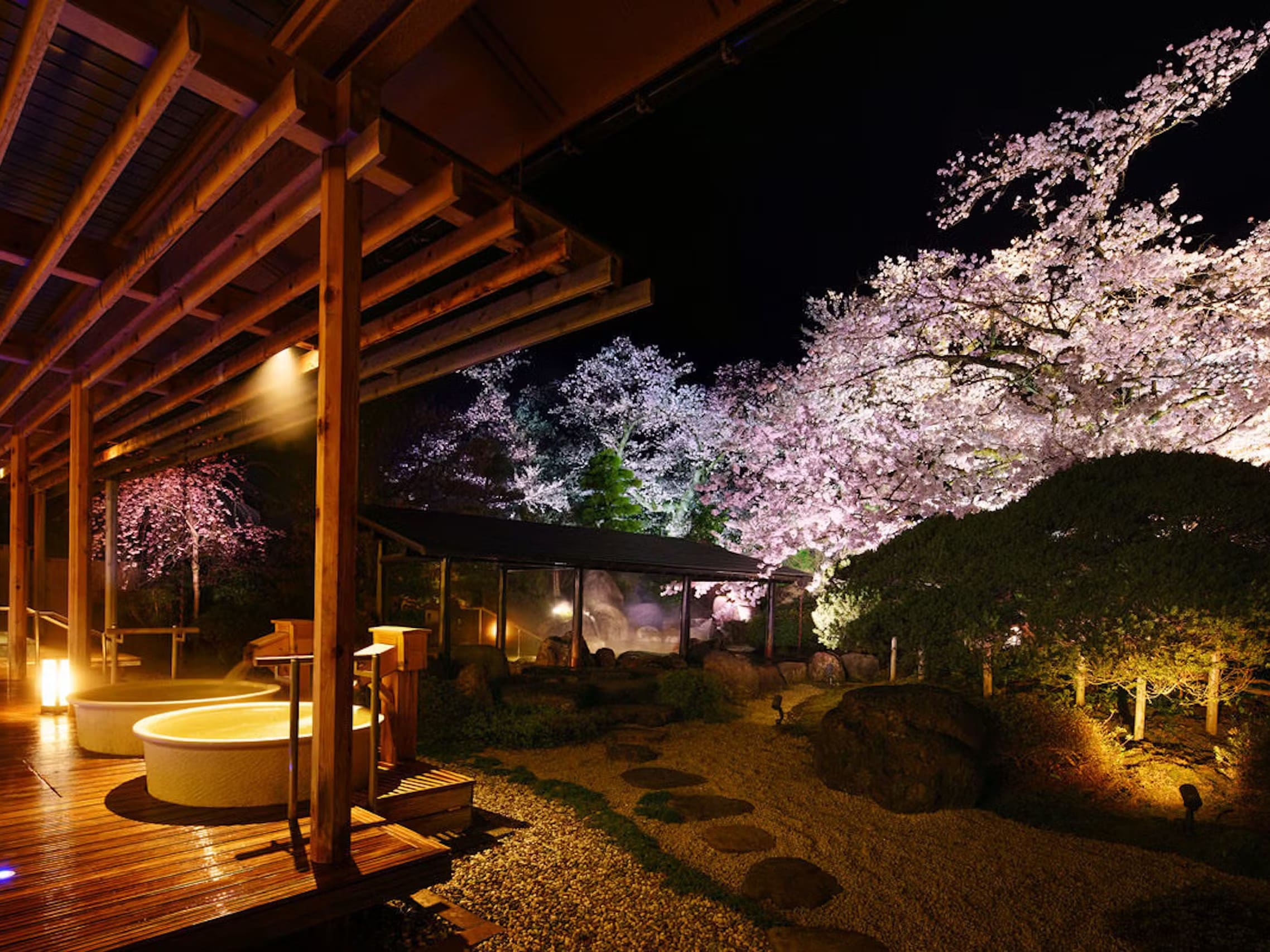 ゆめの湯　春 夜空を見上げれば舞い散る桜の花びらが広がっています