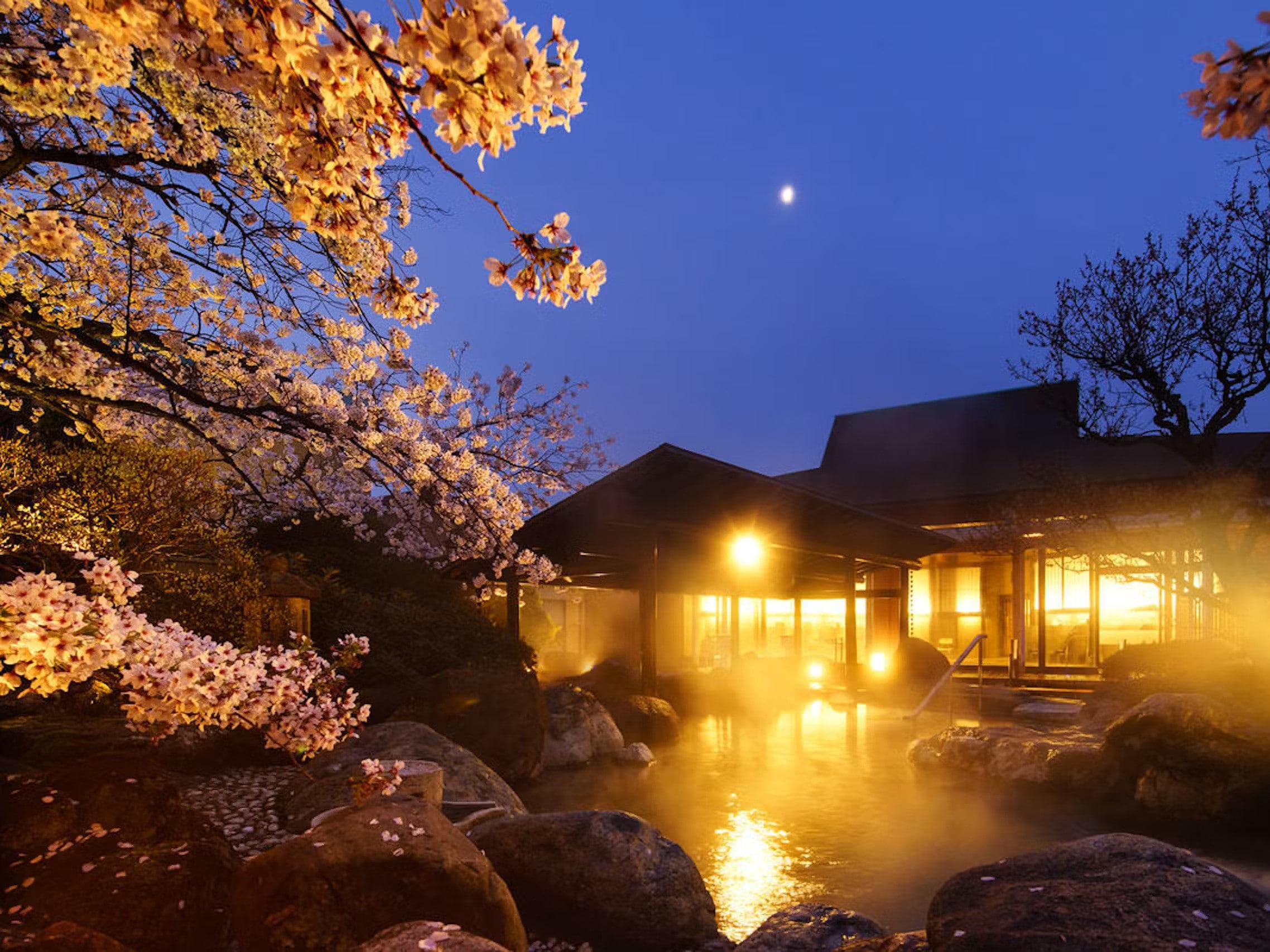 ゆめの湯　春 ひと足早く開花する露天風呂の真上にまでせり出した桜