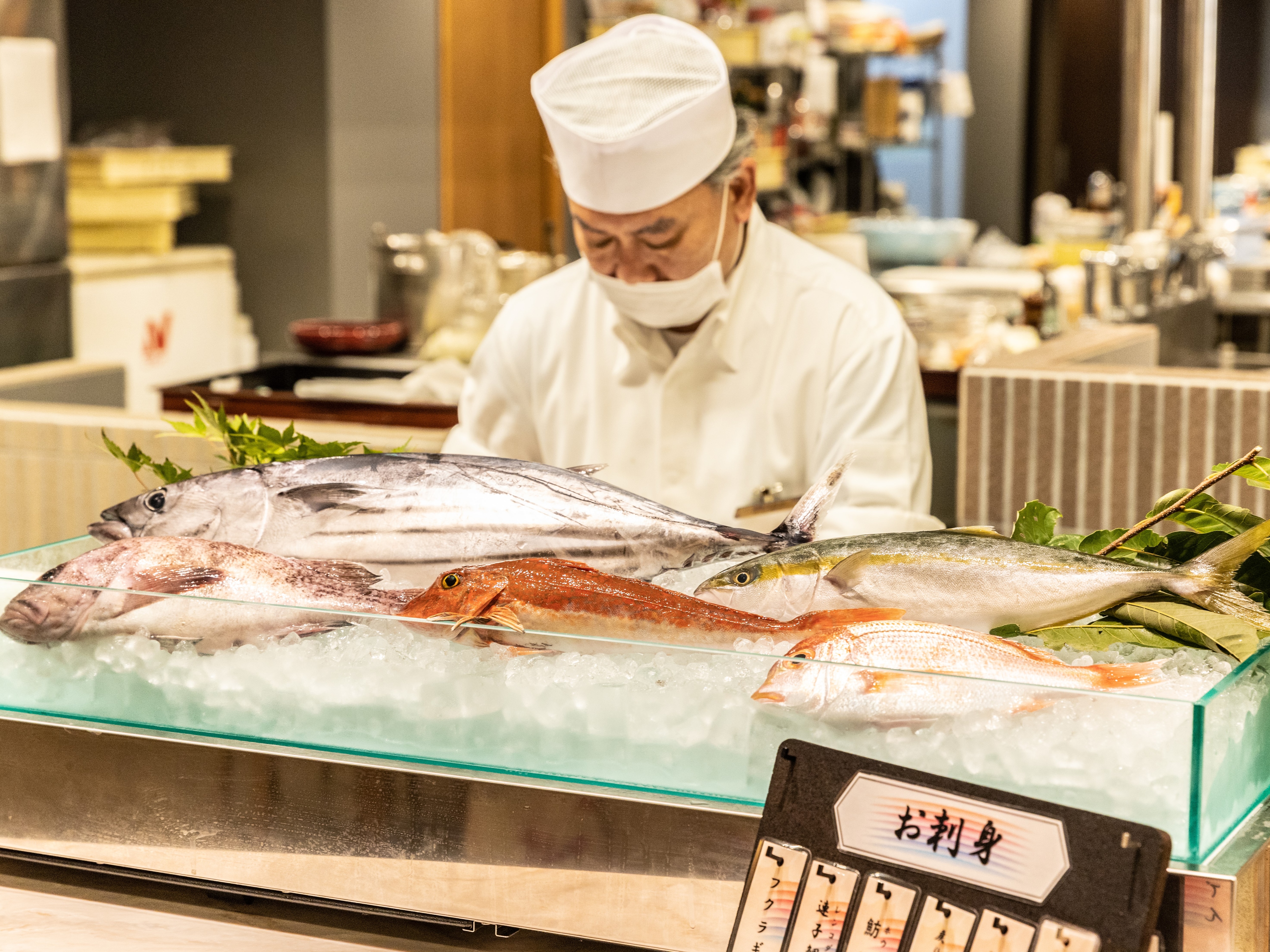 旬の朝獲れ地魚の鮮度抜群のお造り