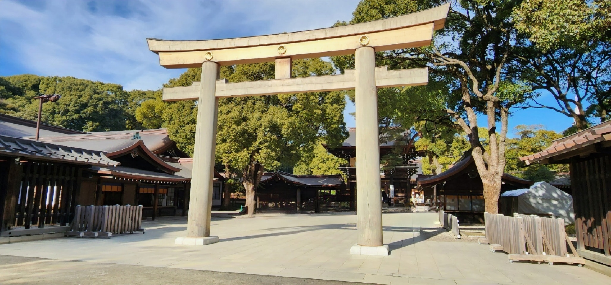 明治神宮画像
