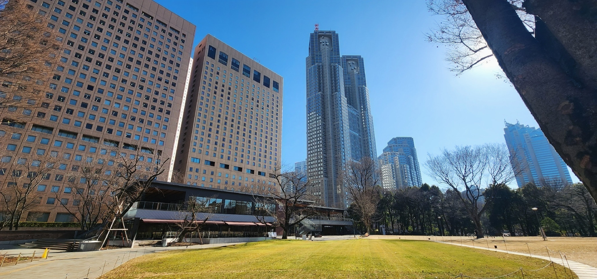 新宿中央公園画像
