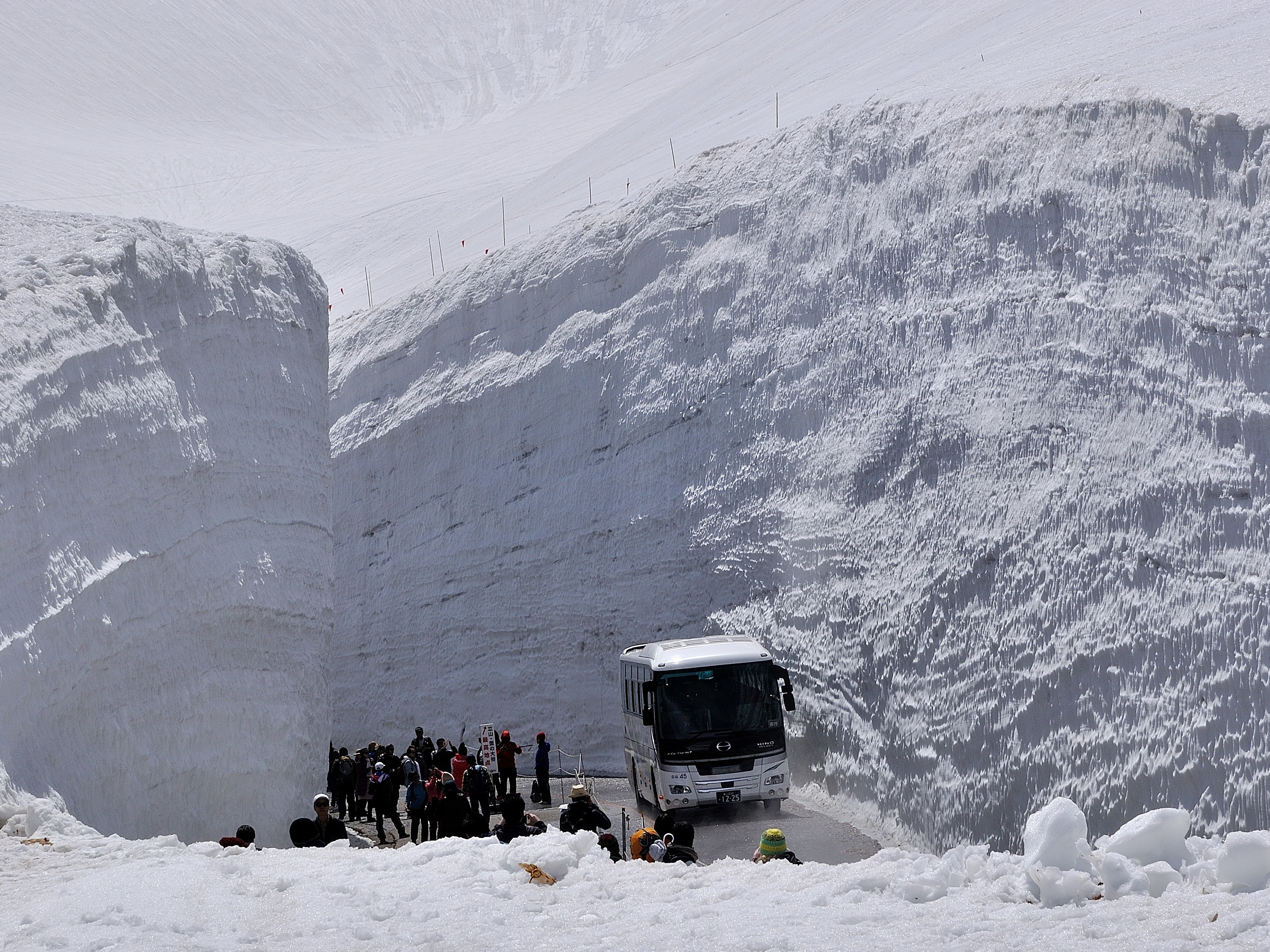 雪の大谷　高さ最大20mにも迫る巨大な雪の壁の間を歩くことができます